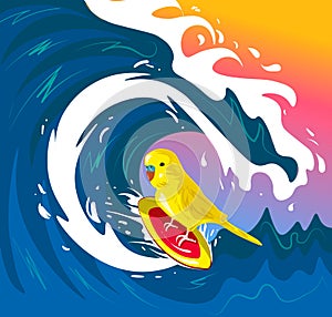 Budgerigar surging on wave. Perfect for decor such as posters, wall art, tote bag, t-shirt print, mobile case.